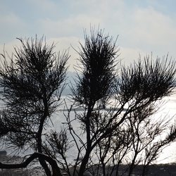 2016-12 France/St Malo/DSC_1068.JPG